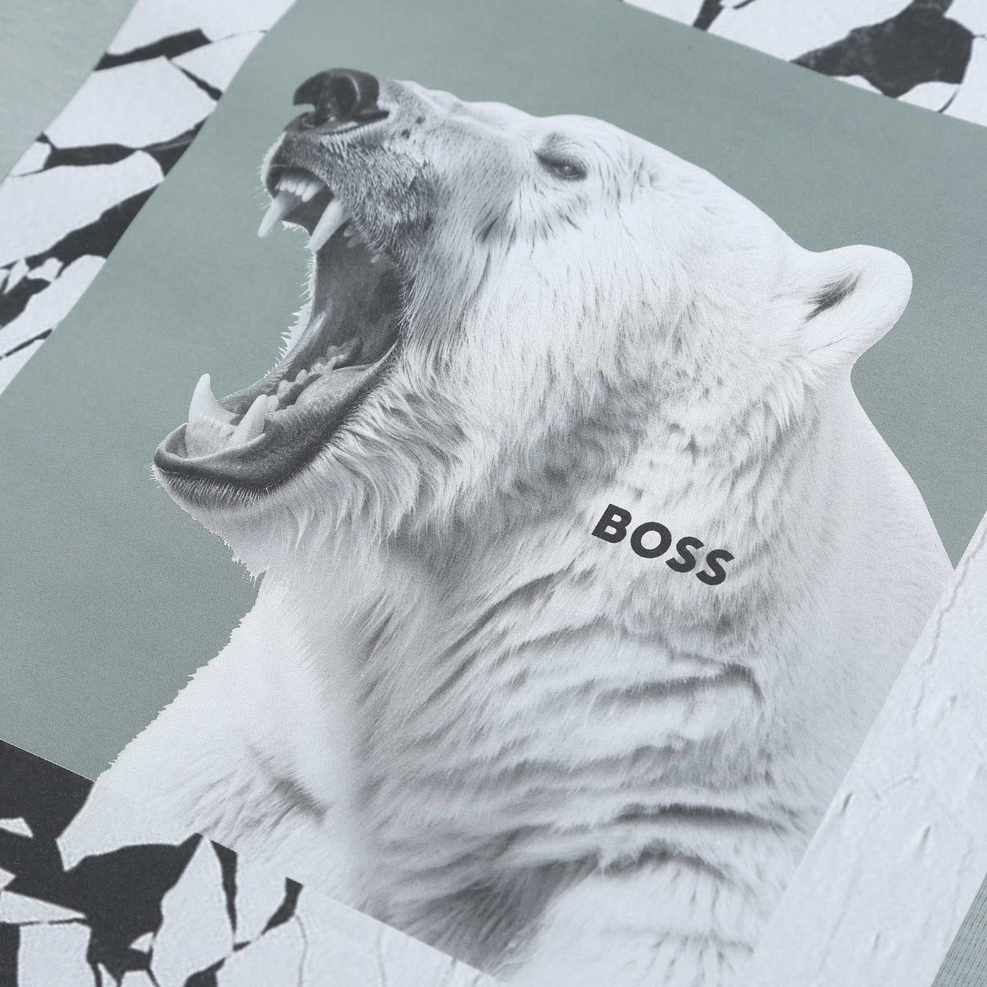 BOSS TE Lupo in Sage Green logo