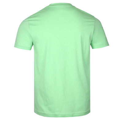 Psycho Bunny Pisani Graphic T Shirt in Icy Mint